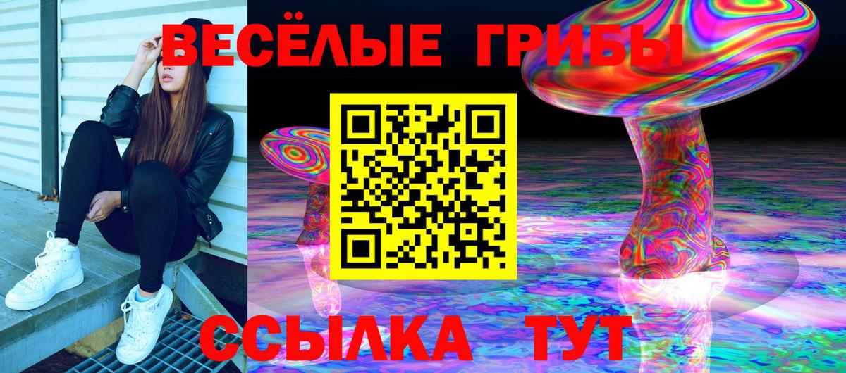 Псилоцибиновые грибы мицелий Шали